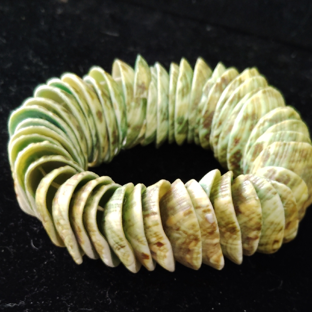 Green Shell Disc Bracelet